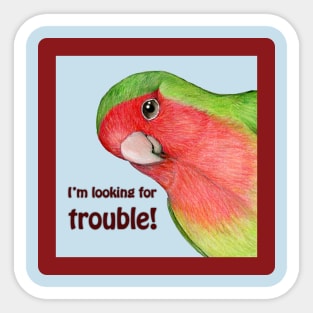 Curious lovebird Sticker